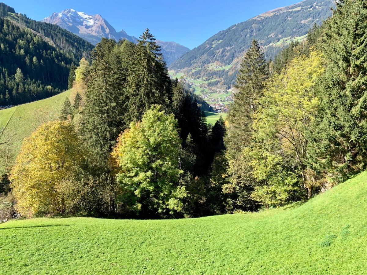 Natur Zeit - Alpine Garden Apartments Mayrhofen Eksteriør billede