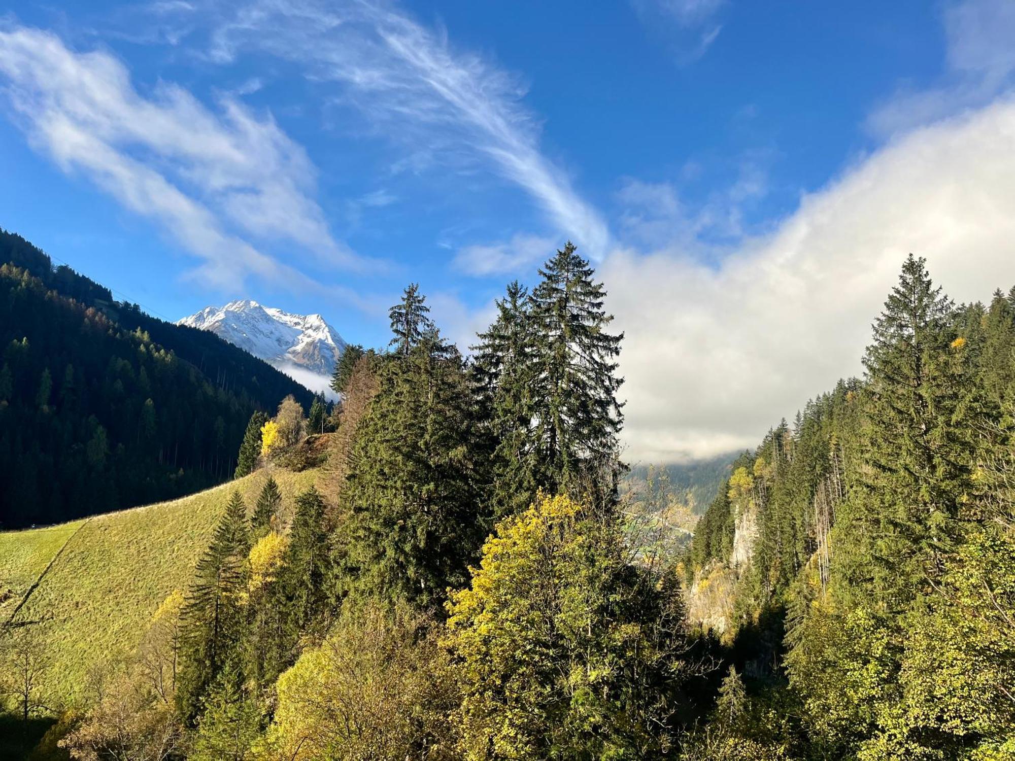 Natur Zeit - Alpine Garden Apartments Mayrhofen Eksteriør billede